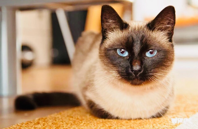 Источник: Яндекс картинки.