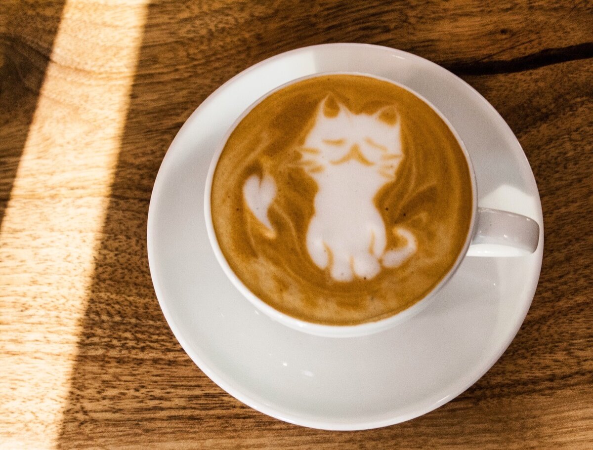 А это кисонька на кофе.