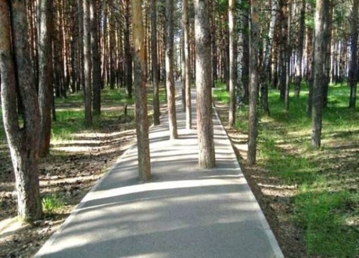 Мастера своего дела