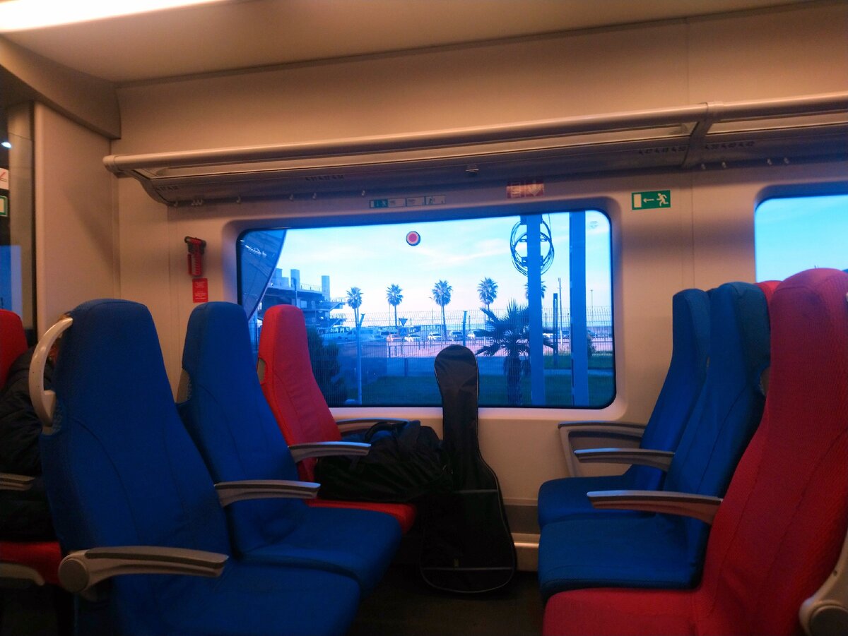 фото автора. Ласточка.