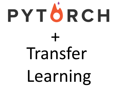 Pytorch + Transfer Learning