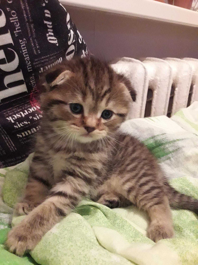 Марсик еще маленький