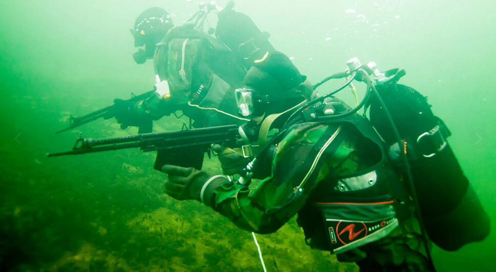 боевые пловцы