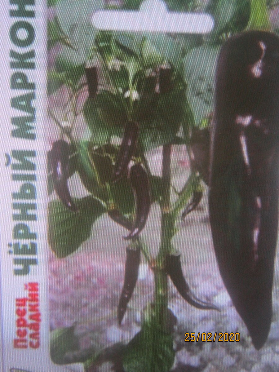 Черный маркони