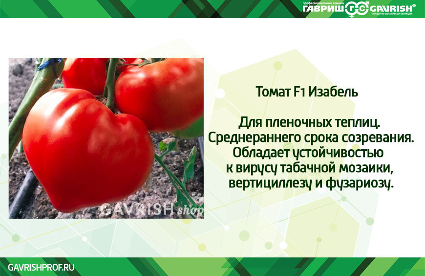 Томат хабль. Хабль томат описание. Помидоры ракета описание сорта. Хабль томат фото. Томат f1 гунин.