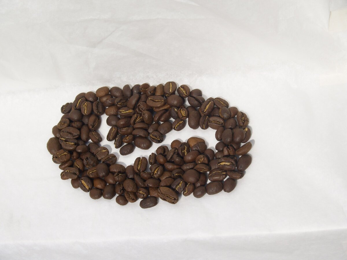 Наши кофейные зёрна.