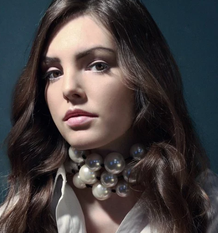 Из открытых источников