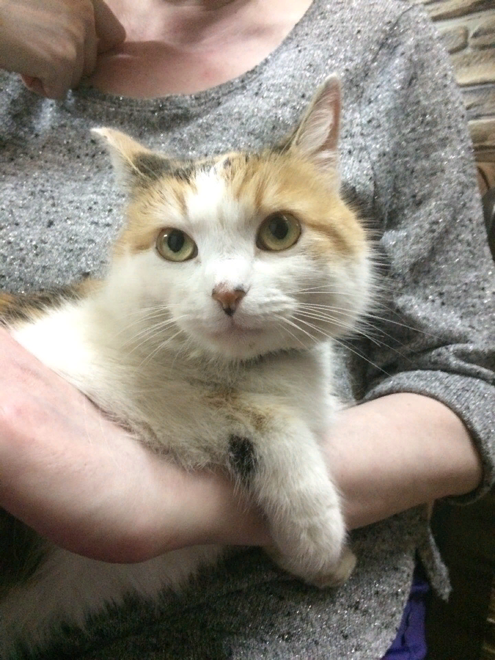 Ее я не раздражаю))