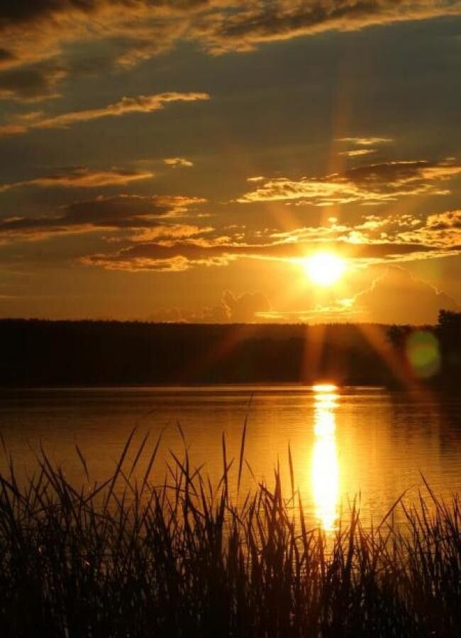 Фото из интернета