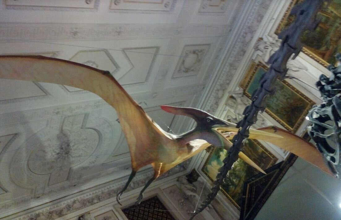 Скелеты динозавров и их модели в полный рост приводят в восторг детей