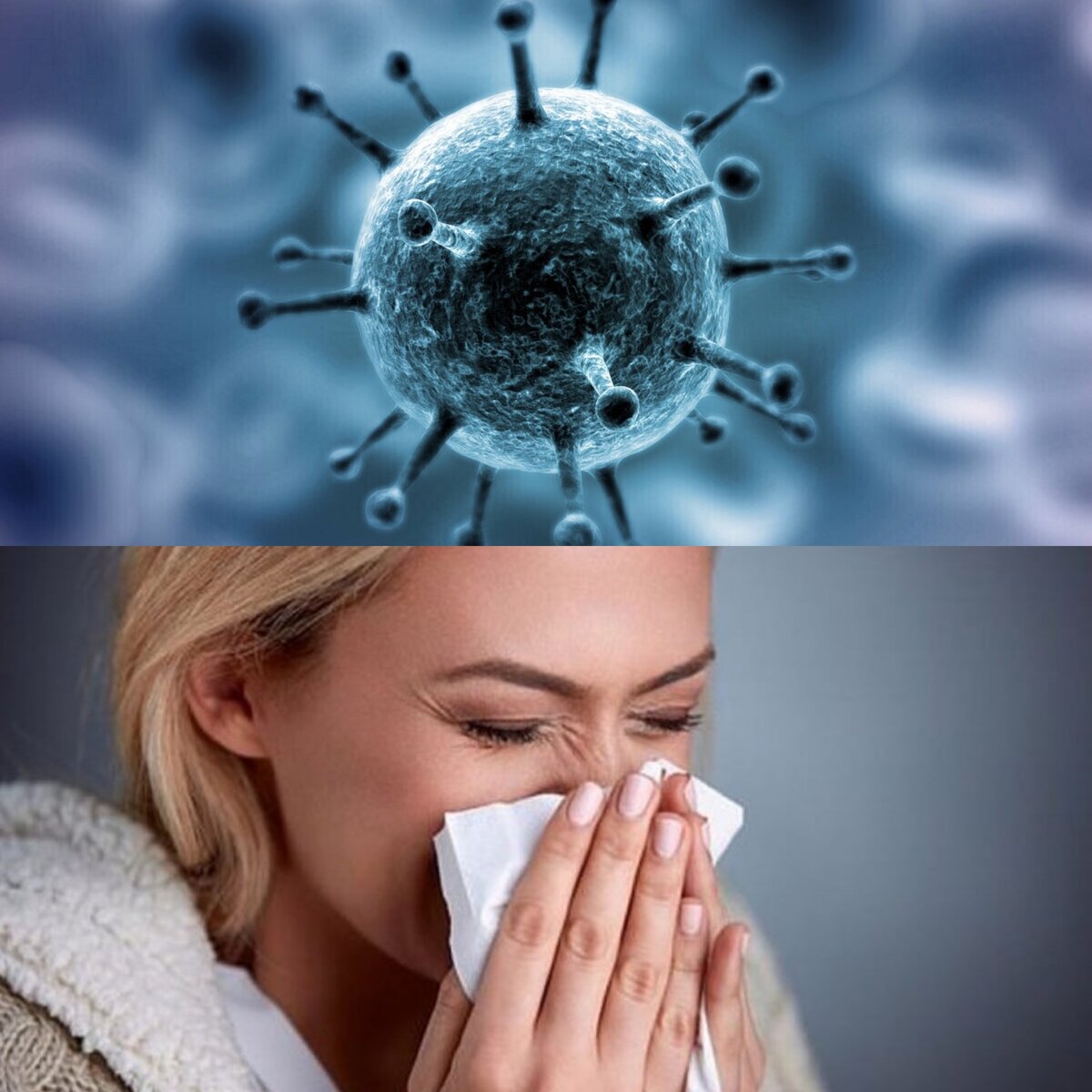Простуда вирус грипп