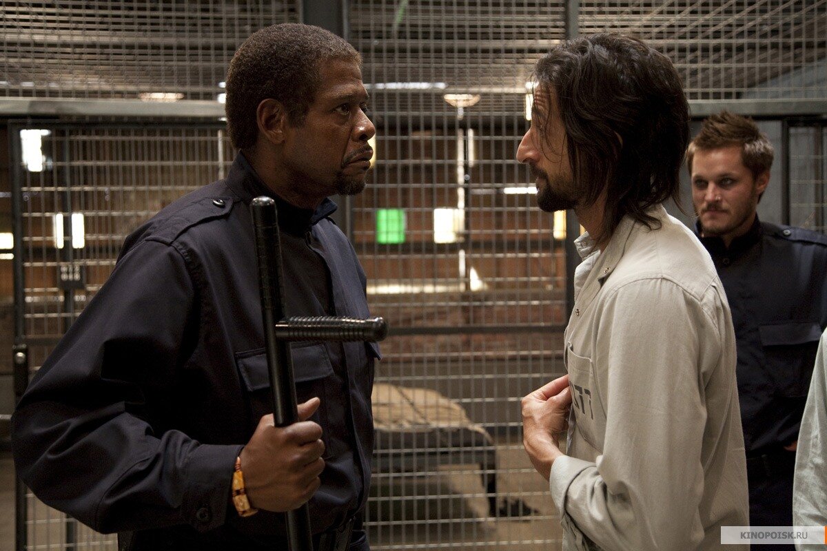 Эксперимент в разгаре. Из свободных интернет источников.