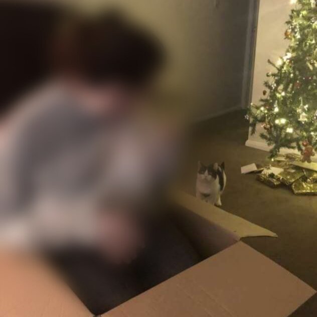 Фото: Твиттер Tracy King