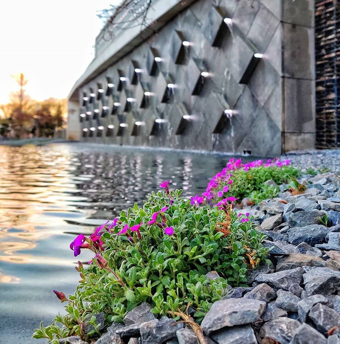 Фото@shumikhin_official