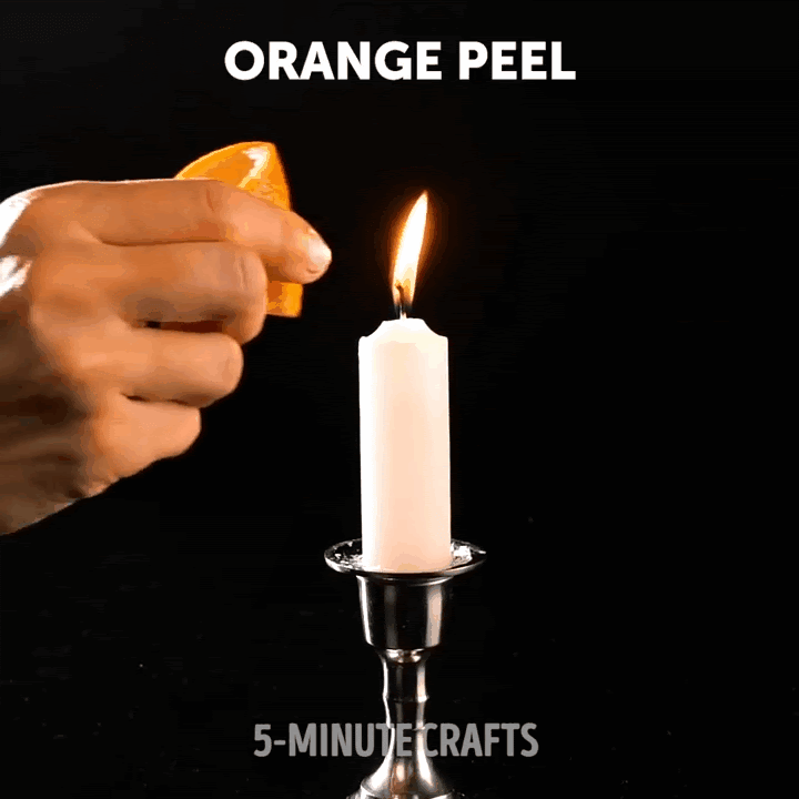 Видео взято из открытого источника