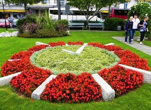 Источник фото: Яндекс картинки.