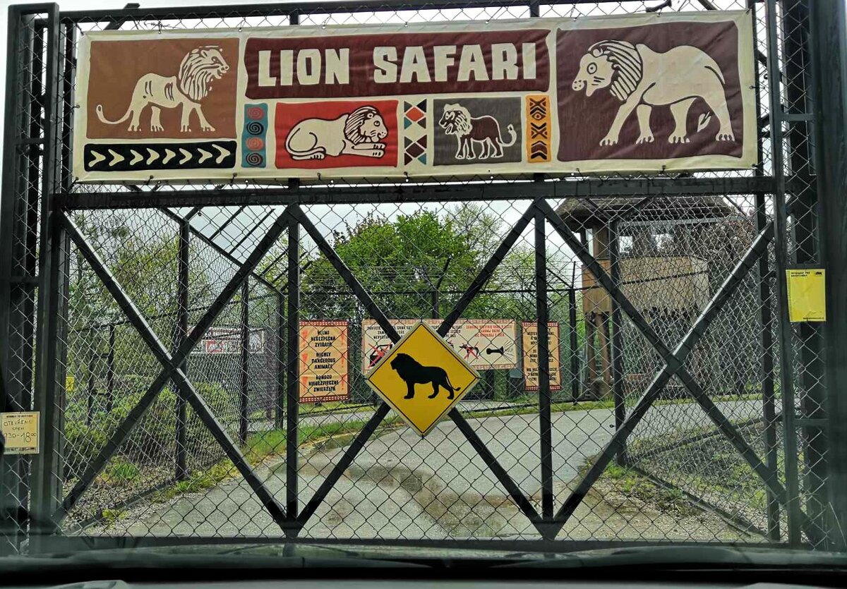 Чтобы попасть ко львам нужно проехать через двойные ворота