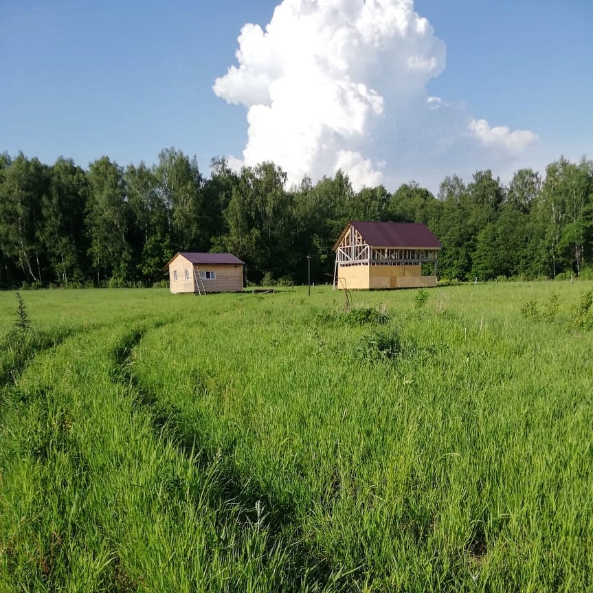 Лето 2019