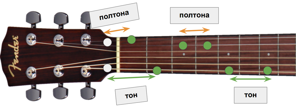 Тон тон полутон на гитаре. Полутон на гитаре. Тон полутон тон тон полутон тон тон. Тон и полутон на гитаре для начинающих.
