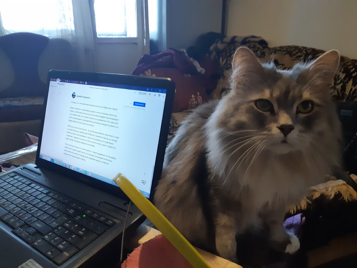 пишем статьи с Барсуком