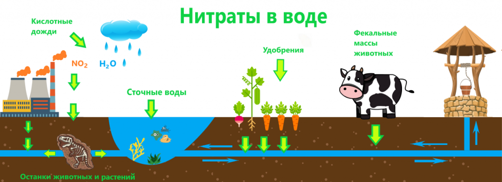 Нитраты в воде 50 мл. Источники загрязнения воды нитратами. Источники нитратов и нитритов в воде. Накопление нитратов в воде. Нитраты загрязняют воду.