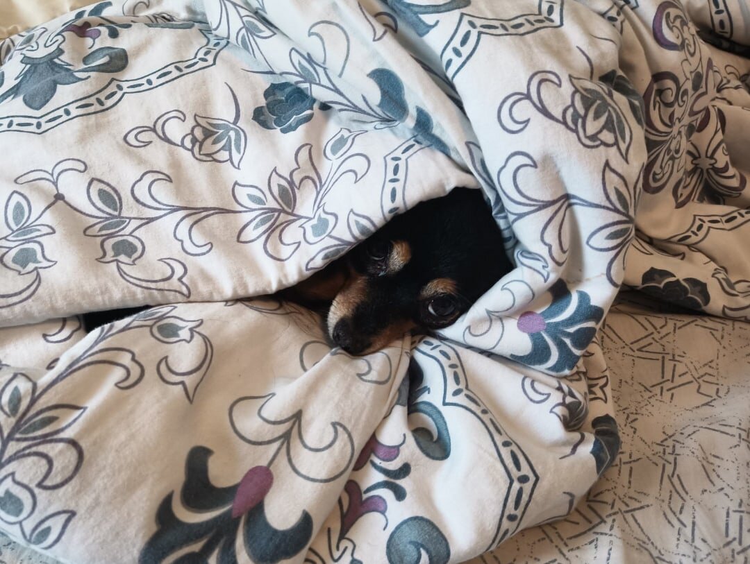 Вот так, по мнению многих, женщины сидят в декрете =))))