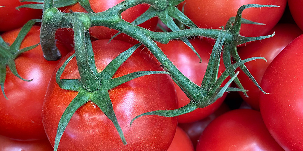 Свежие помидоры.
