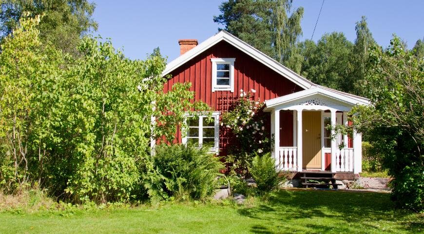 Эх дача😍природа))) 