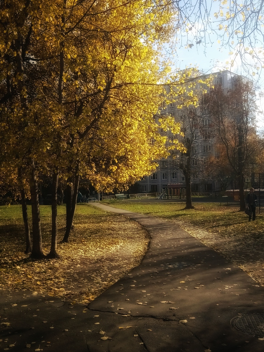 Фото автора. Дорога к квартире оказалась достаточно длинной