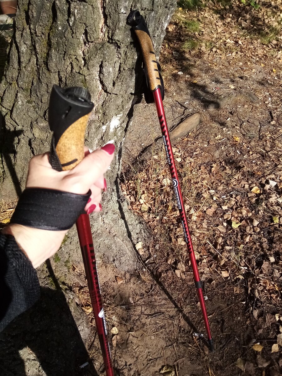 На фото:  палки для скандинавской ходьбы.