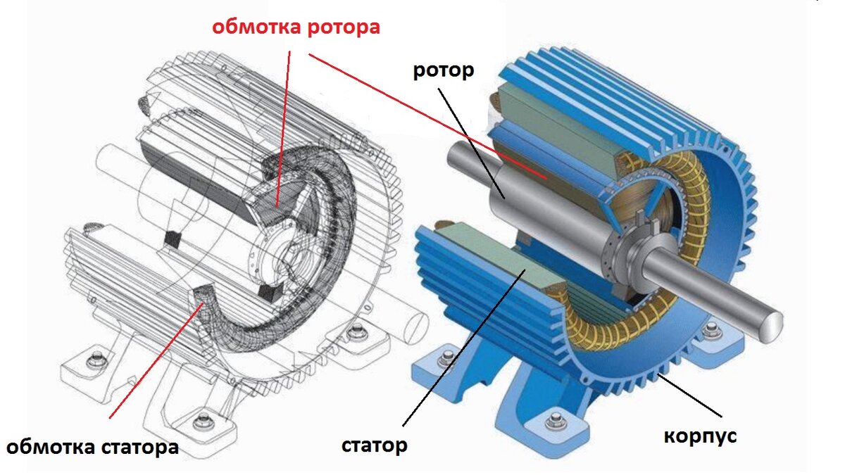 Пусковая обмотка синхронного двигателя