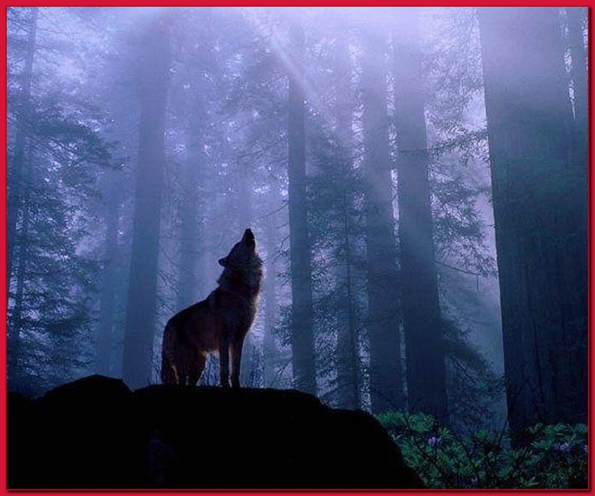 картинка из свободного источника