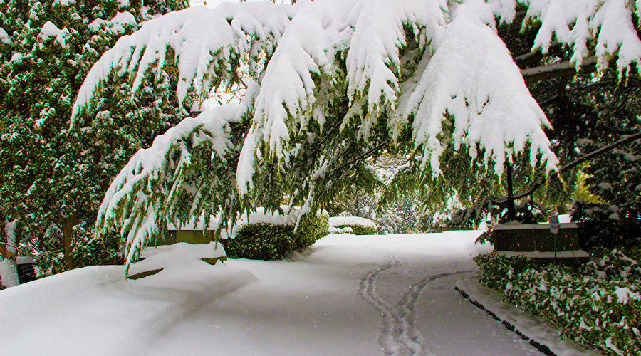 Зима в Крыму / Фото: Андрей Бурдейный