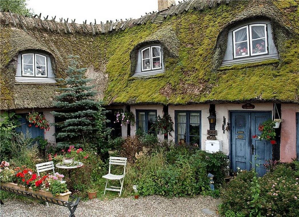 Фото с Яндекс картинки.