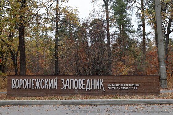 Воронежский заповедник, указатель у парковки