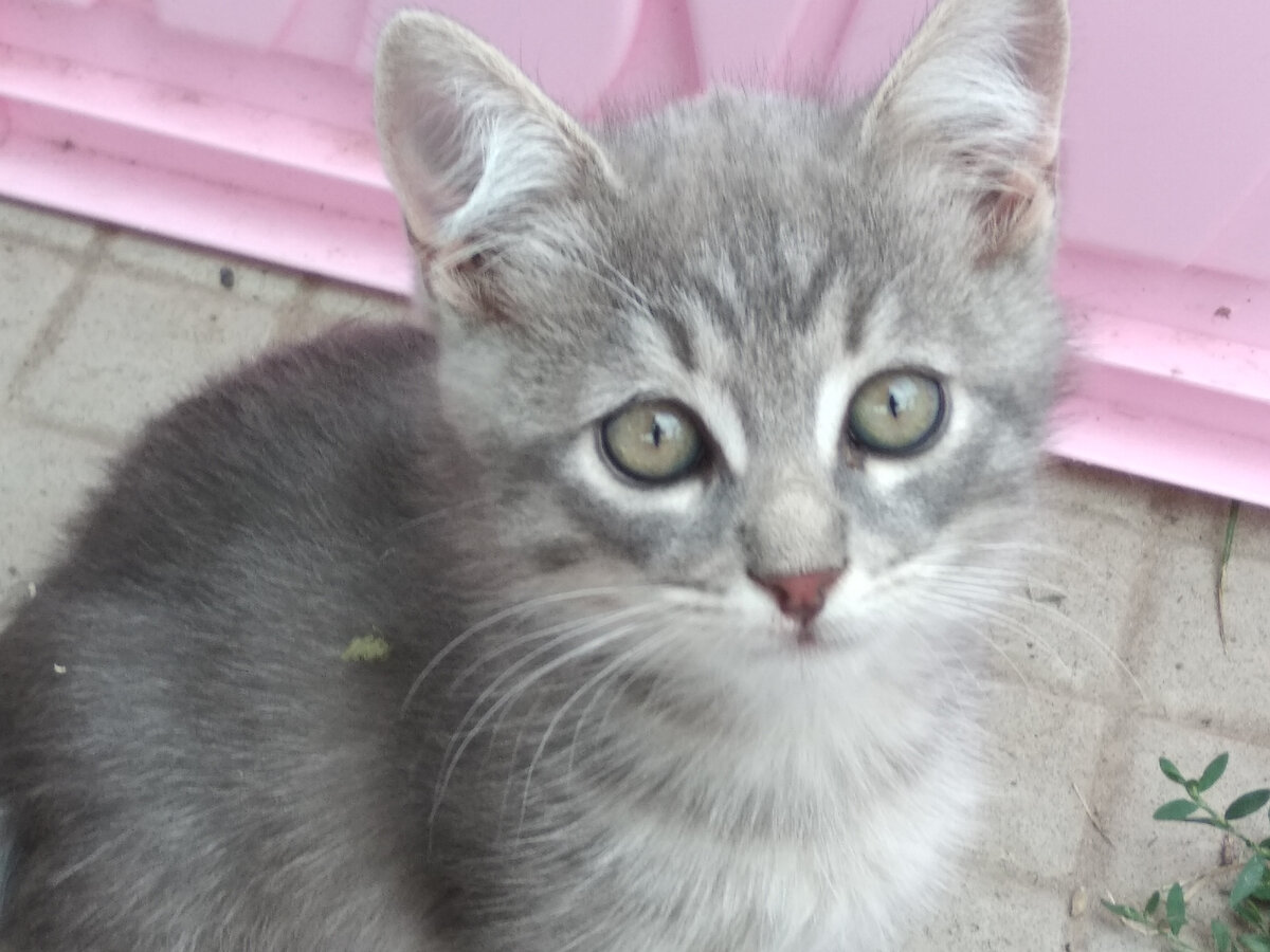 Фотографии