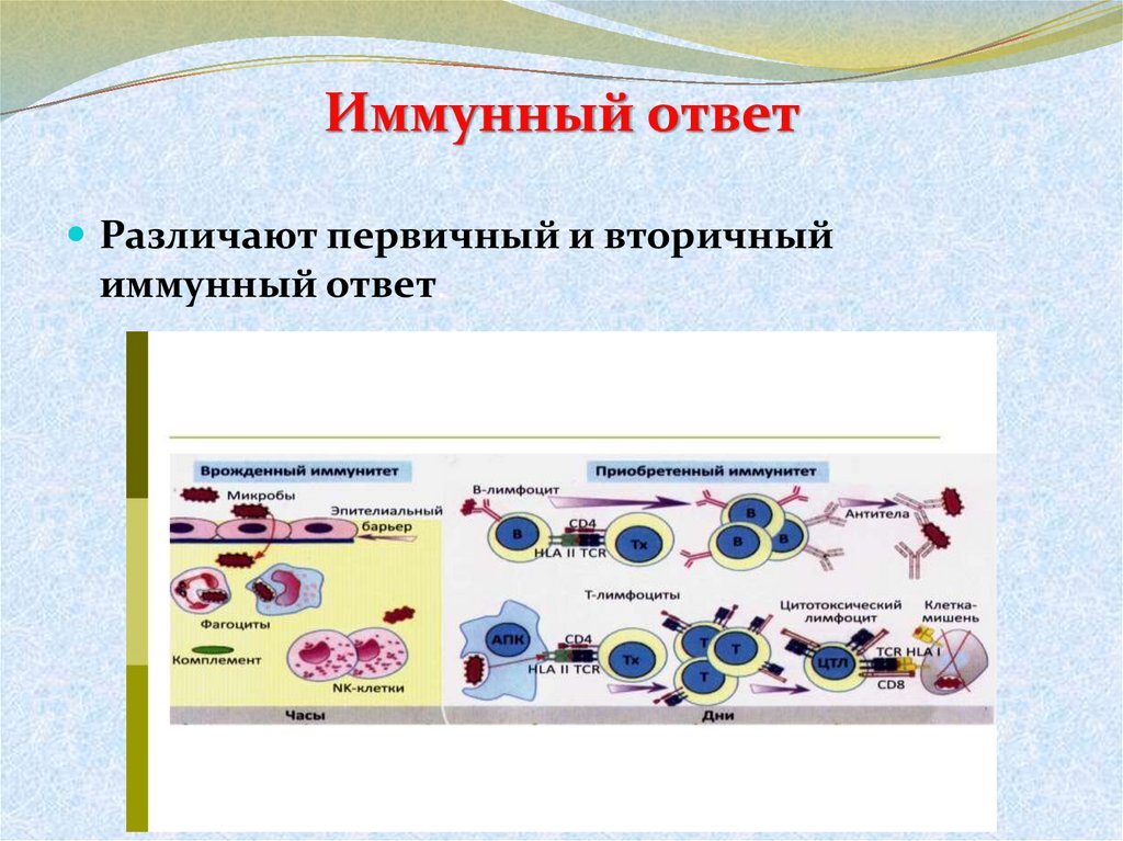 опять же, если вникать, голову сломаешь 😀