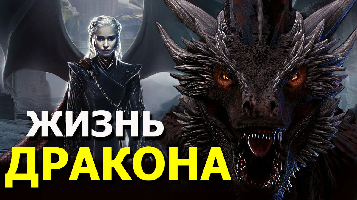 Как выжить дракону. Дракона рожденный
