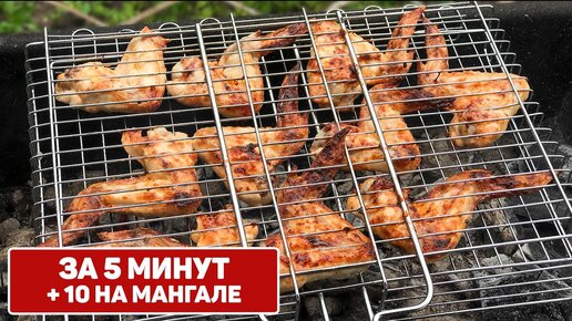 Вкуснейшие КРЫЛЫШКИ на Мангале + Маринад из майонеза и аджики