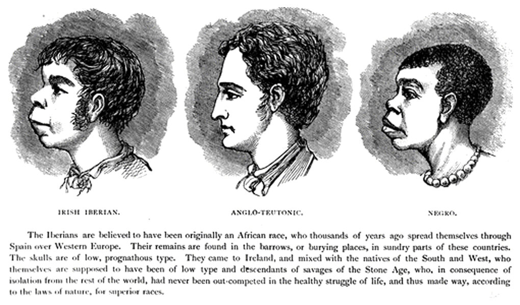 «Научный расизм». Источник: Pinterest