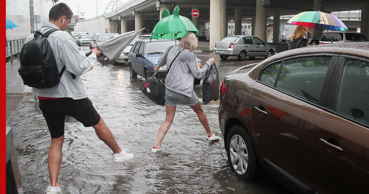 Использовано изображение  из открытых источников