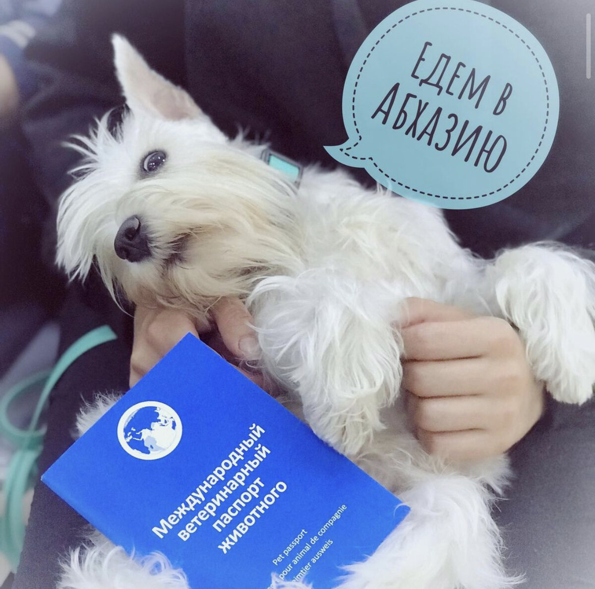 Наш отпуск прошёл шикарно👍🏻