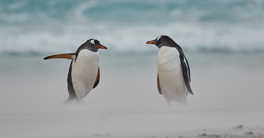 - Не подскажете, как пройти в экспертизу? - Вам туда
