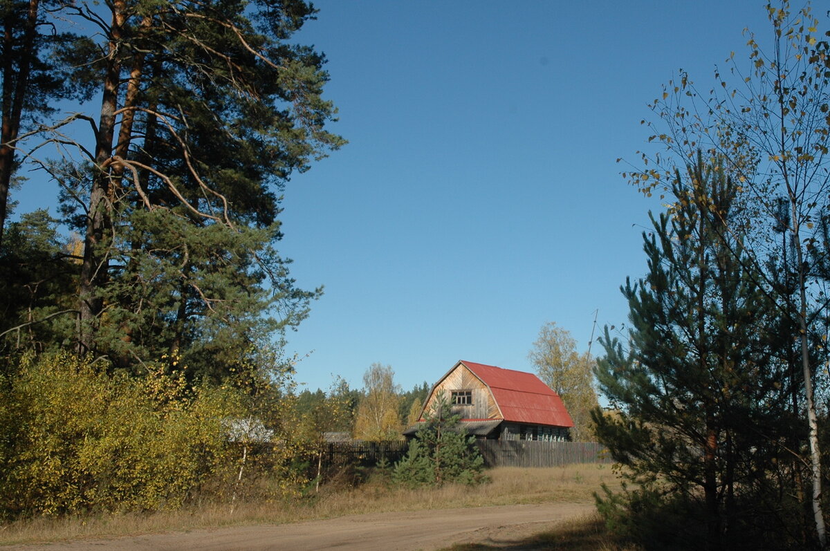 наш деревенский дом в Мещёре. Фото автора.