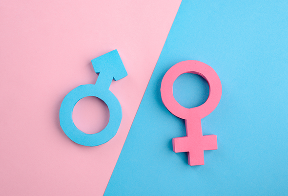 https://www.google.com/amp/s/mel.fm/amp/blog/dmitry-loginov/50427-malchikam-matan-devochkam-lit-ra-gendernyye-stereotipy-v-shkole
