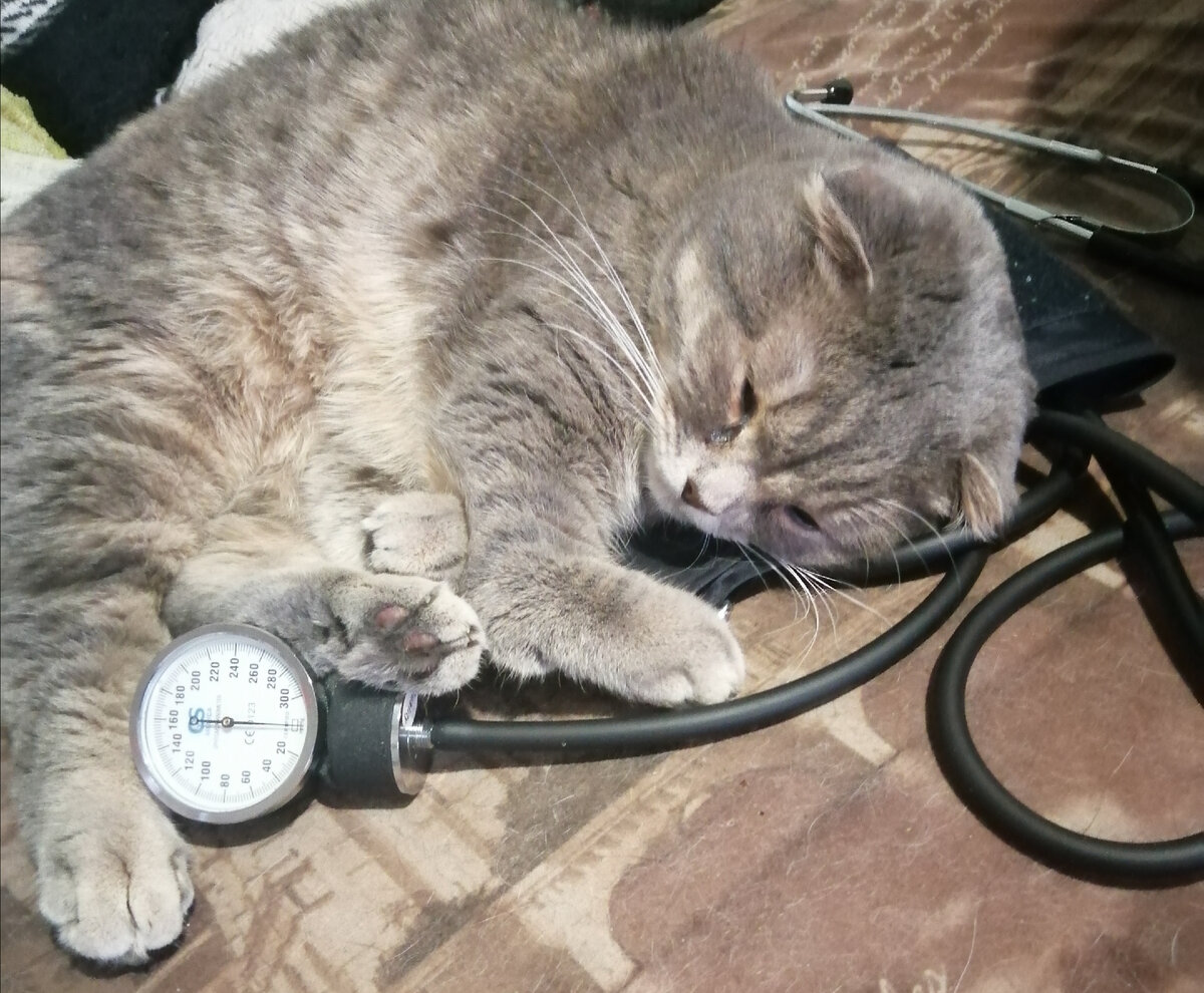 Измеряет давление у Любимого.