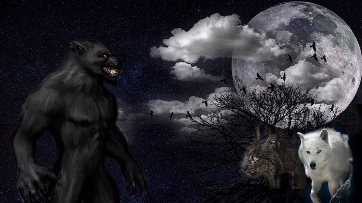 Фото взято из доступных источников интернета и обработано автором. 