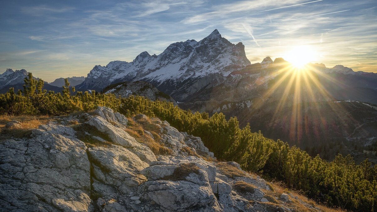 Фото: pexels.com