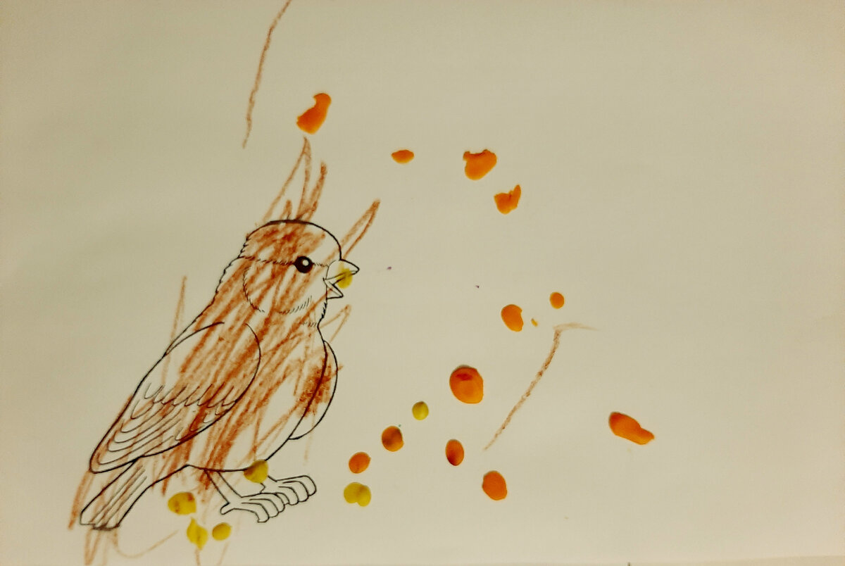 Покормили воробушка 