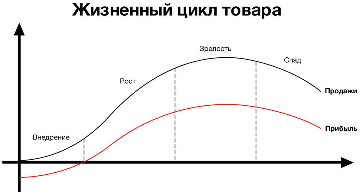 На каком этапе жизненного цикла товара на первый план выходит обслуживание продукции сервис